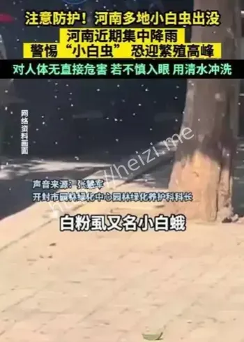 河南小白虫侵袭事件