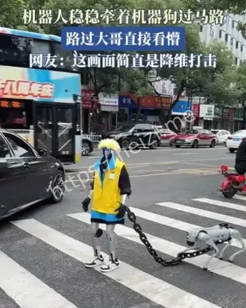 上海滨江公园机器人遛狗